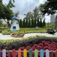 賞花好地方-屯門公園