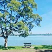 The Lone Tree @ Upper Seletar Reservoir Park 