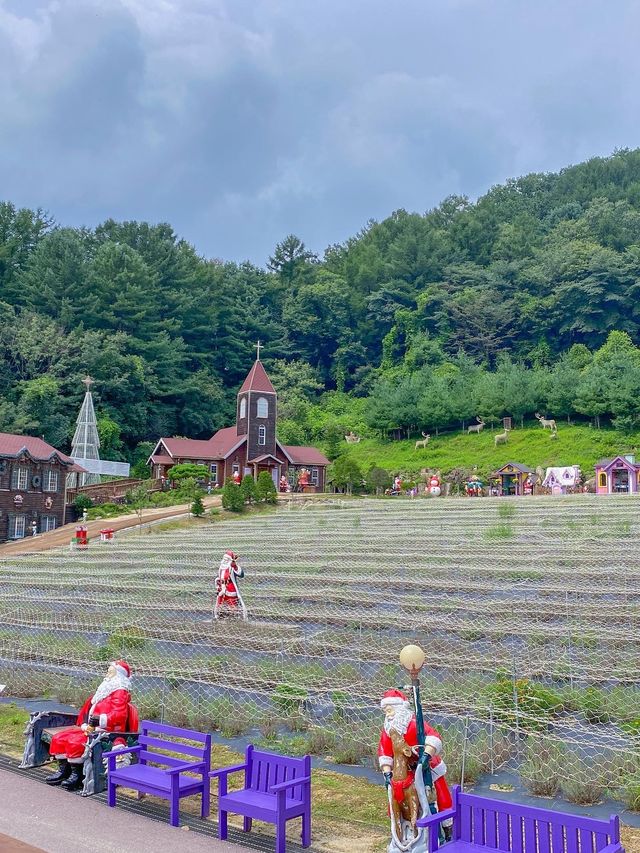 서울 근교 주말 데이트 코스 💐포천 허브아일랜드