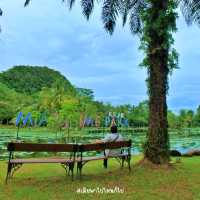 Maritime Park Resort เวลาสำหรับธนรมชาติบำบัด