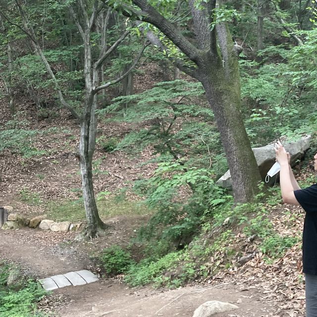 창녕 자연경관투어_관룡사