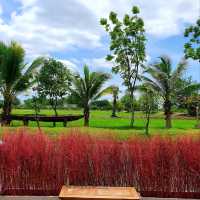 พาไปคาเฟ่กลางทุ่งนา ณ ลพบุรี