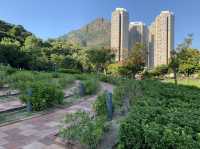 Recommended place to go for picnic before winter comes