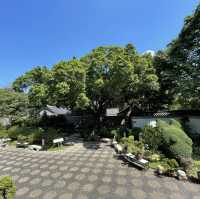 九龍市區玩足一日,有遊樂場/園林公園/歷史遺跡/特色cafe，仲可以有單車俓踏單車😍 
