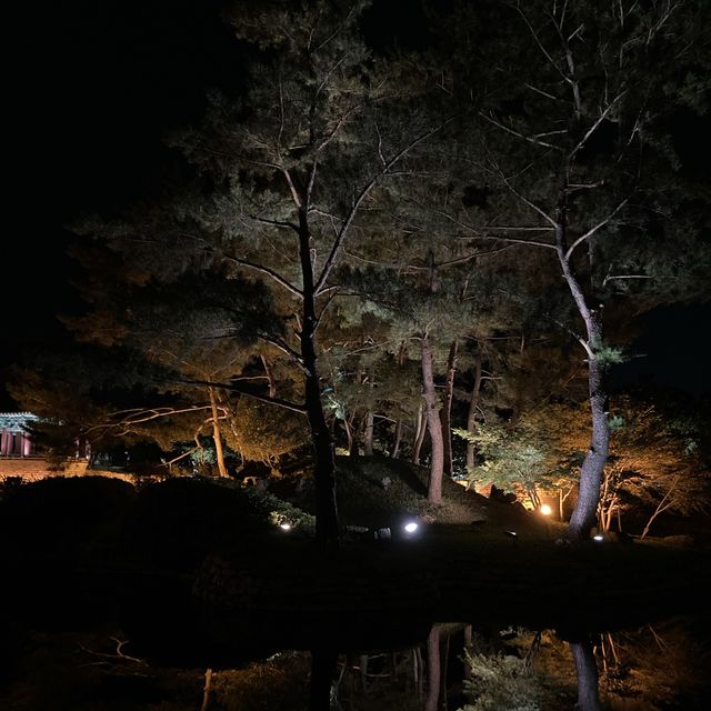 경주의 아름다운 야경지_안압지