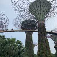 Dreamy Garden in a Futuristic City