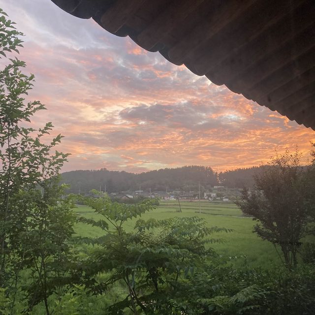 히노끼탕 있는 신축 한옥숙소, 경주 오릉도원🏠