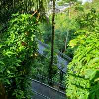 Henderson waves trail