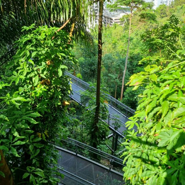 Henderson waves trail