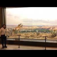 มาเที่ยว American Museum of Natural History ค่ะ