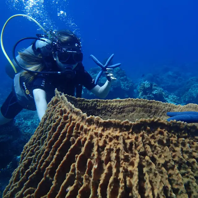 My First Scuba Diving Experience