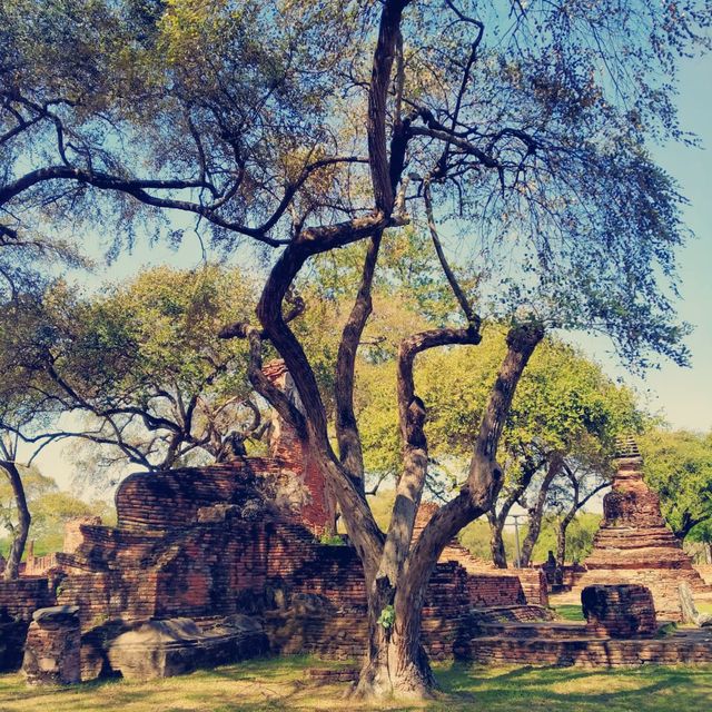 Ayutthaya, beautiful ancient city of ruins 