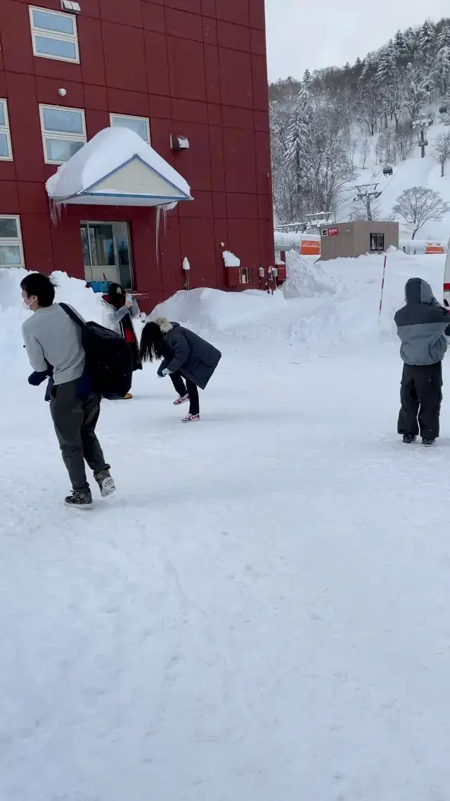 北海道滑雪之選