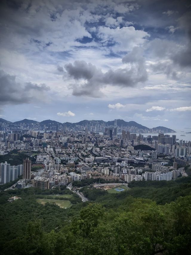 獅子🦁️山
