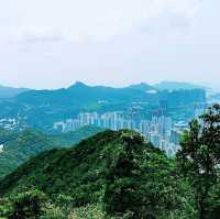 尖削如錐的鷓鴣山
