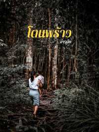 น้ำตกโตนพร้าว อ่าวลึก