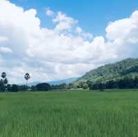 สะพานทุ่งนาแห่งร่องเขานครชุม