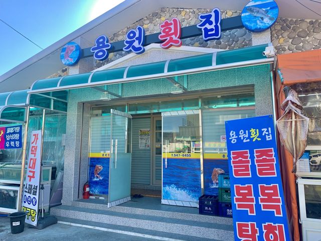 [🇰🇷, 창원] 겨울 특별 보양식 대구탕 맛집, 진해 용원횟집 🐟