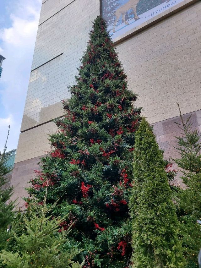 [서울] 코엑스 크리스마스 모음집 🎄 