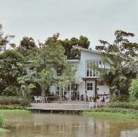 คาเฟ่บรรยากาศร่มรื่น