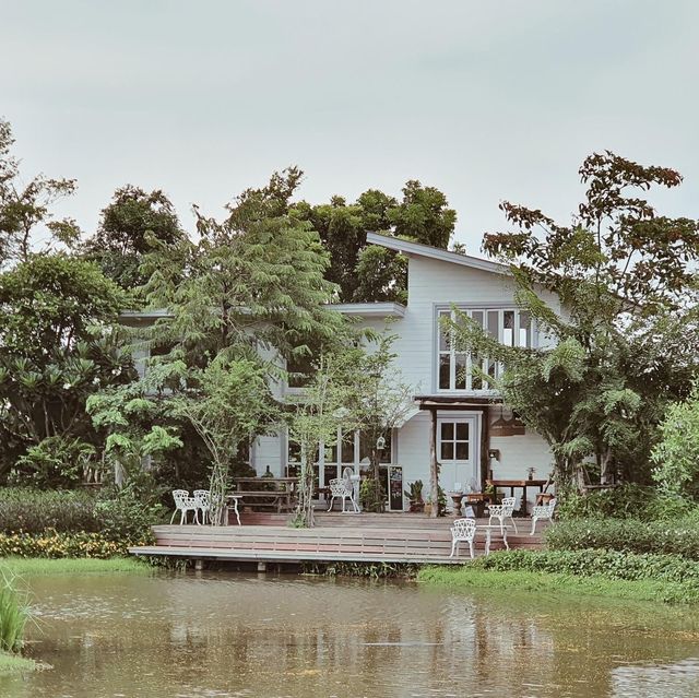 คาเฟ่บรรยากาศร่มรื่น