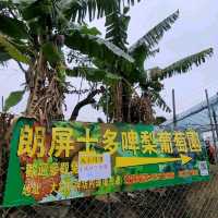 親親小動物~ 朗屏士多啤梨園