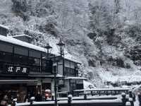 【山形】一度は泊まってみたい✨銀山温泉