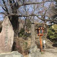 ［新倉富士淺澗神社］- 跟富士山互相輝映🗻