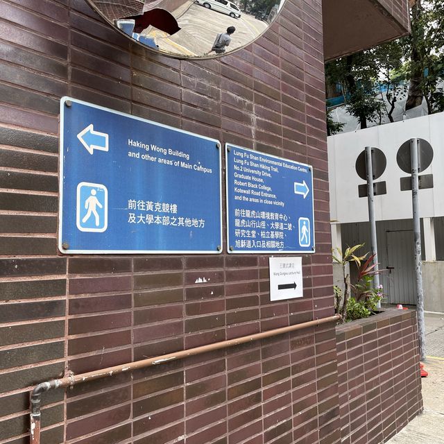 香港大學👉🏻龍虎山👉🏻太平山頂