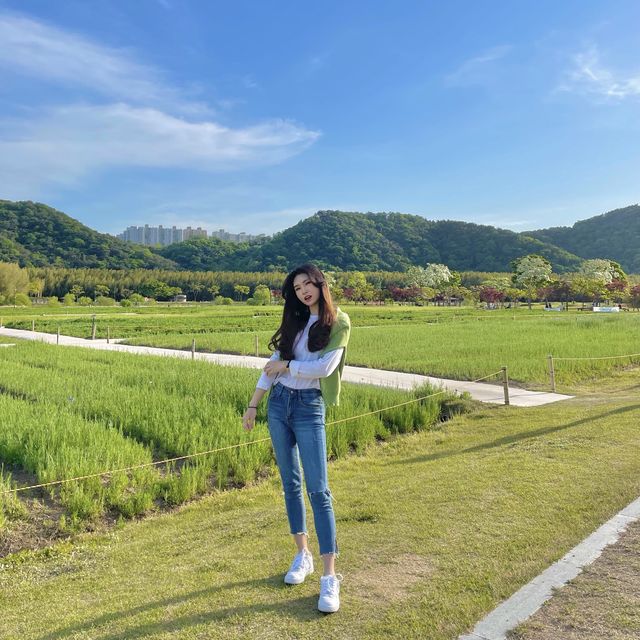 요즘같은 날씨, 딱 피크닉 하기 좋은 태화강 국가정웡