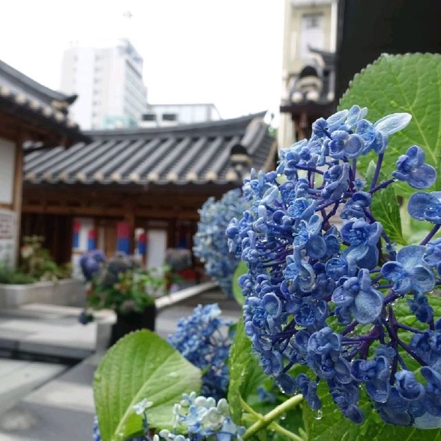 서울 레트로 감성 사진 찍기 좋은 곳 <돈의문 박물관마을>