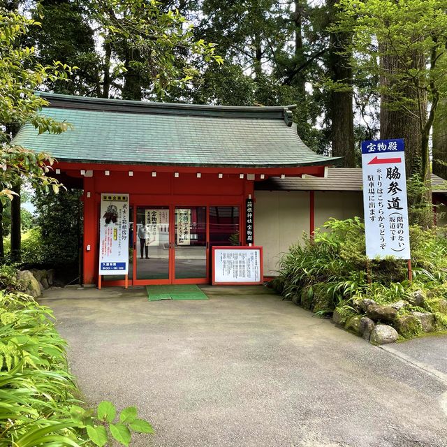 箱根神社でフィトンチッドシャワーを🌲