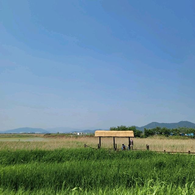 순천여행 순천만자연생태공원 