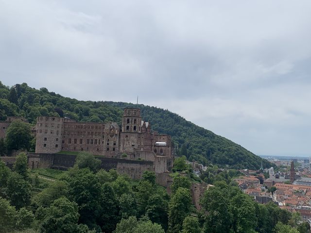 Schloss Heidelberg (Heidelberg Castle) 🏰 