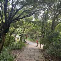 一早登頂象山｜30分鐘搞定、超級爆汗、臺北城市景觀好美