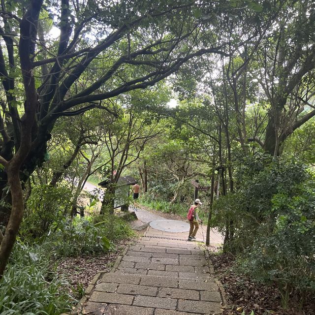 一早登頂象山｜30分鐘搞定、超級爆汗、臺北城市景觀好美