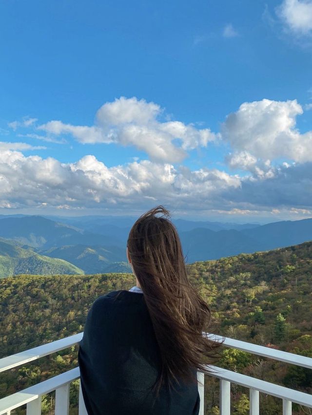 천혜의 자연을 한 눈에 담을 수 있는  발왕산 기(氣) 스카이워크 ☁️