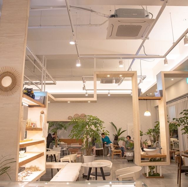 제주 한라수목원 카페, 볕이드는곳벧디☀️
