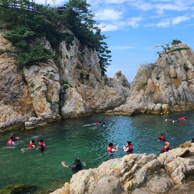 삼척 스노쿨링, 삼척 현지인 카페 추천! [현상소]