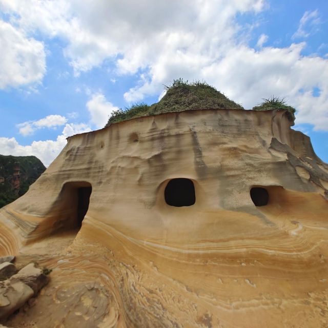 新北萬里區 ｜ 野柳地質公園