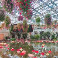 【日本 三重】日本最大規模花海 🌹🌷🌺🌸🌼