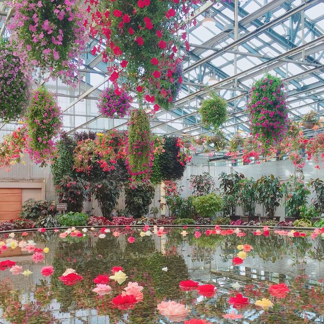 【日本 三重】日本最大規模花海 🌹🌷🌺🌸🌼