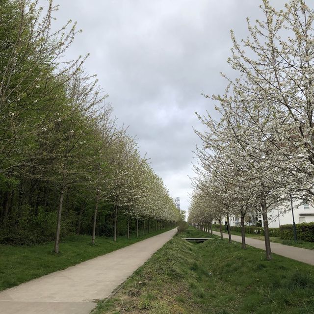 Parc de beauregard Rennes, France 🇫🇷 