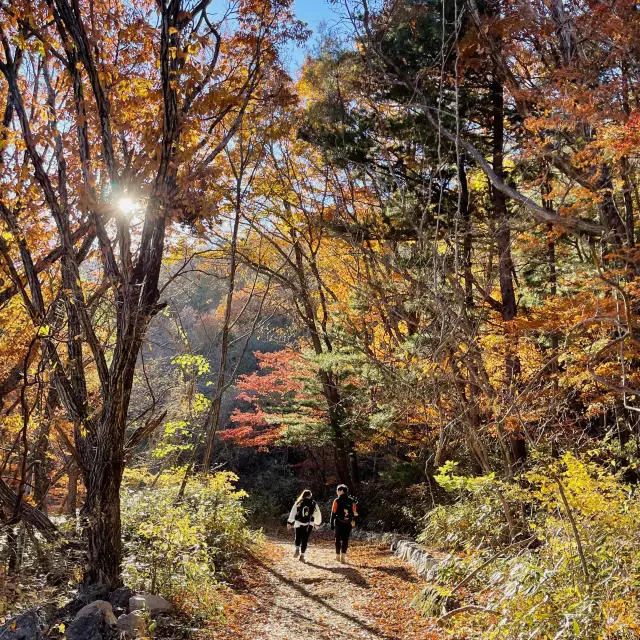 지리산 단풍 중산리 - 천왕봉 단풍 진짜 이뻐요 ♥ 