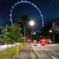 Disney with Singapore Flyer