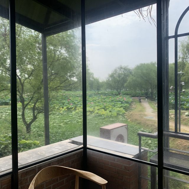 [연꽃뷰 카페, 부여 At267]