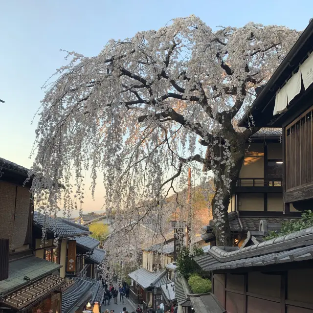 京都｜清水寺周邊～三年坂二年坂、八坂之塔