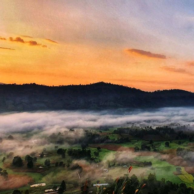 เขาโปกโล้น ทะเลหมอกงามกลางหุบเขา ⛰️