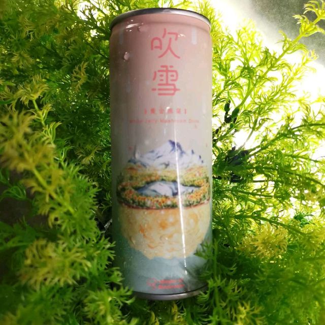 米其林必比登推薦的火鍋😘😘菇神