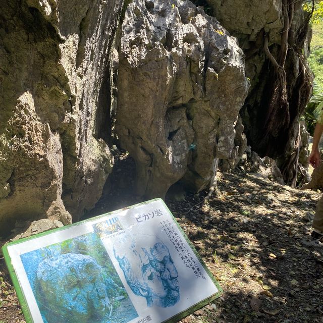 【沖縄･本島】沖縄最北端の自然が創り出すパワースポット